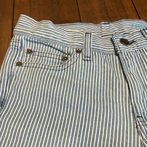 Railroad Pin striped denim
